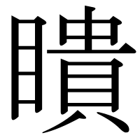 漢字の瞶