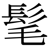 漢字の髦