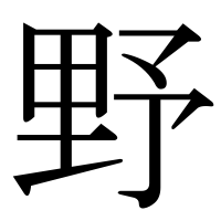 漢字の野