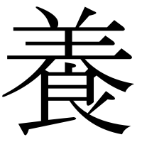 漢字の養