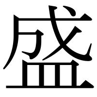 漢字の盛