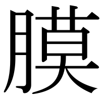 漢字の膜