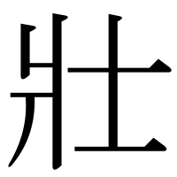 漢字の壯