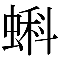漢字の蝌