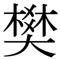 漢字の樊