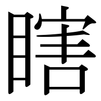 漢字の瞎