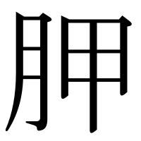 漢字の胛