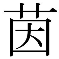 漢字の茵