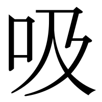 漢字の吸