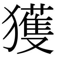 漢字の獲