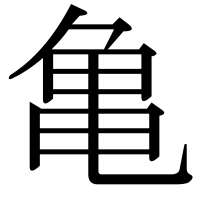 漢字の亀