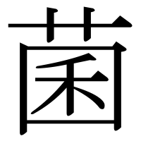 漢字の菌