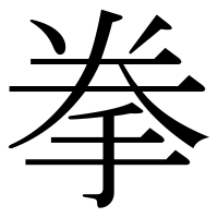 漢字の拳