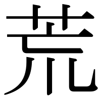 漢字の荒