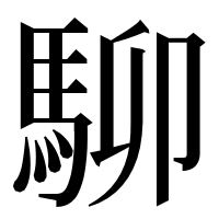 漢字の駠