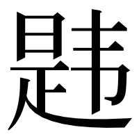漢字の韪