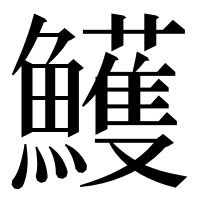 漢字の鱯