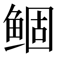 漢字の鲴