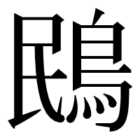 漢字の鴖