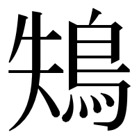 漢字の鴩