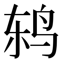 漢字の鸫