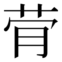 漢字の䒿