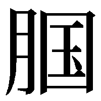 漢字の腘