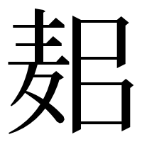漢字の𪌛