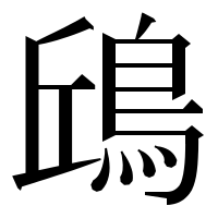 漢字の𩿨
