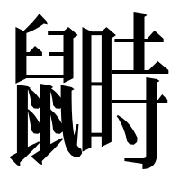 漢字の𪕵