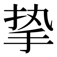漢字の挚