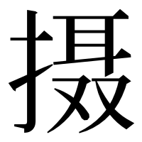 漢字の摄