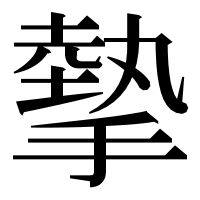 漢字の摰