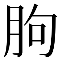漢字の朐