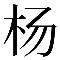 漢字の杨