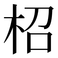 漢字の柖