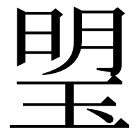 漢字の琞