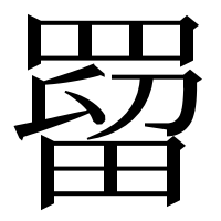 漢字の罶