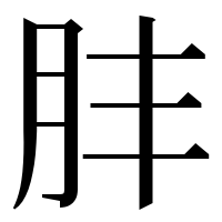 漢字の肨
