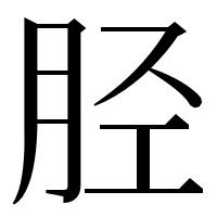 漢字の胫