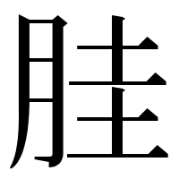 漢字の胿