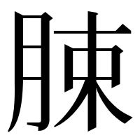漢字の脨