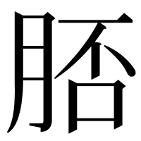 漢字の脴