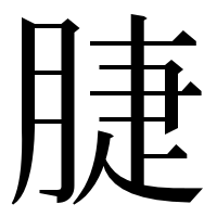 漢字の脻