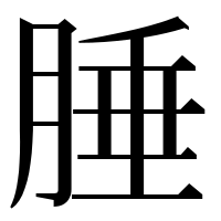 漢字の腄
