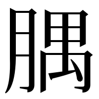 漢字の腢