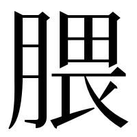 漢字の腲