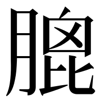 漢字の膍