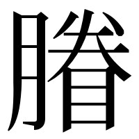 漢字の膡