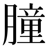 漢字の膧